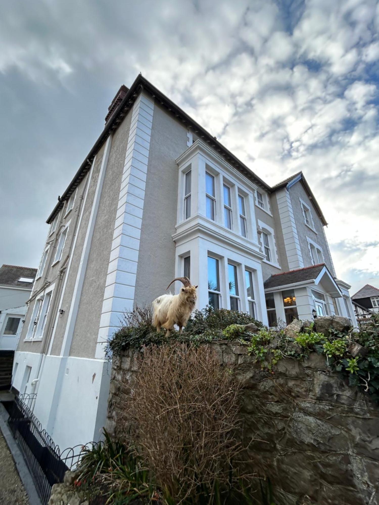 Lansdowne House With Private Car Park Otel Llandudno Dış mekan fotoğraf